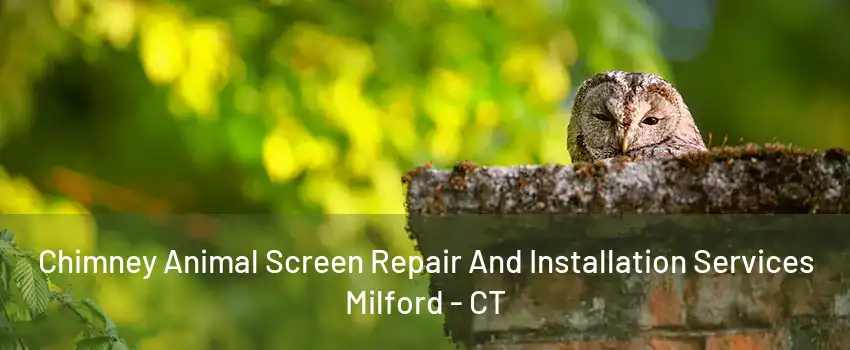 Chimney Animal Screen Repair And Installation Services Milford - CT