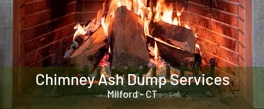 Chimney Ash Dump Services Milford - CT