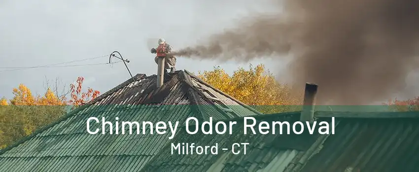 Chimney Odor Removal Milford - CT