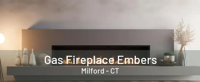 Gas Fireplace Embers Milford - CT