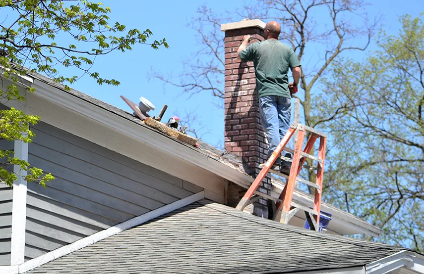Chimney & Fireplace Inspections Services in Milford