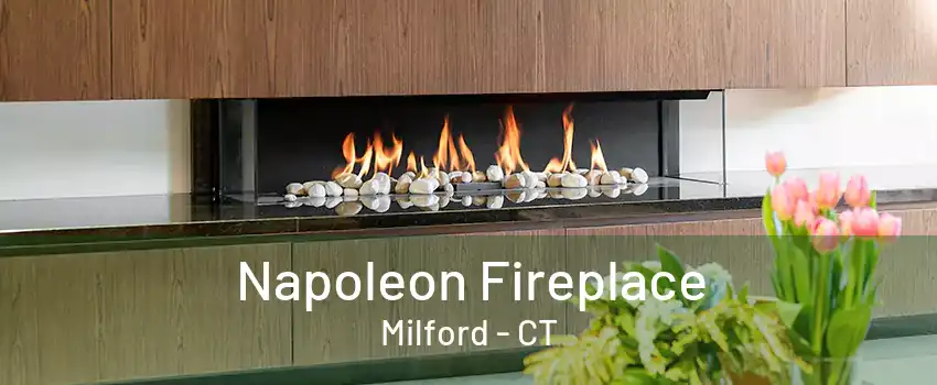 Napoleon Fireplace Milford - CT