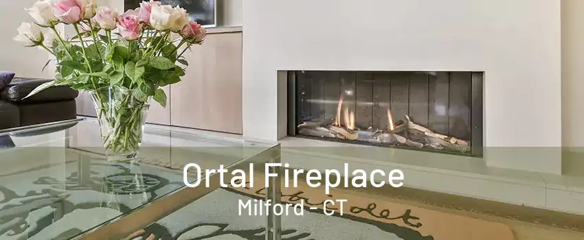 Ortal Fireplace Milford - CT